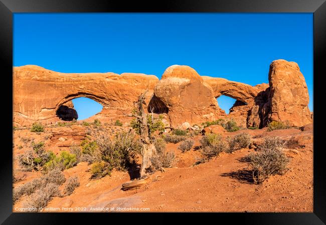 North South Windows Section Arches National Park Moab Utah  Framed Print by William Perry