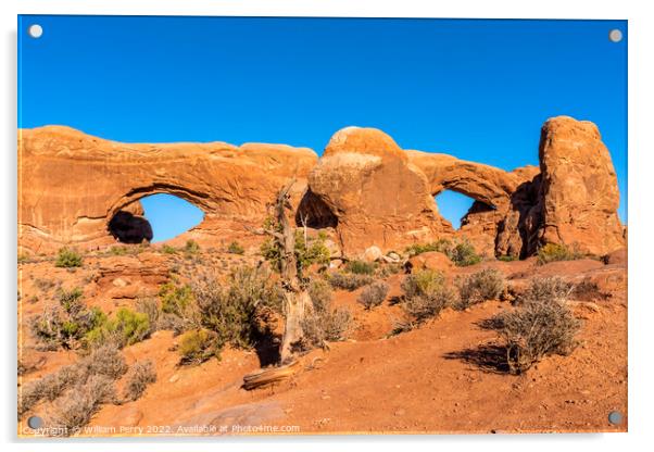 North South Windows Section Arches National Park Moab Utah  Acrylic by William Perry