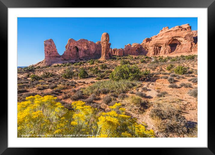 Double Arch Windows Section Arches National Park Moab Utah Framed Mounted Print by William Perry