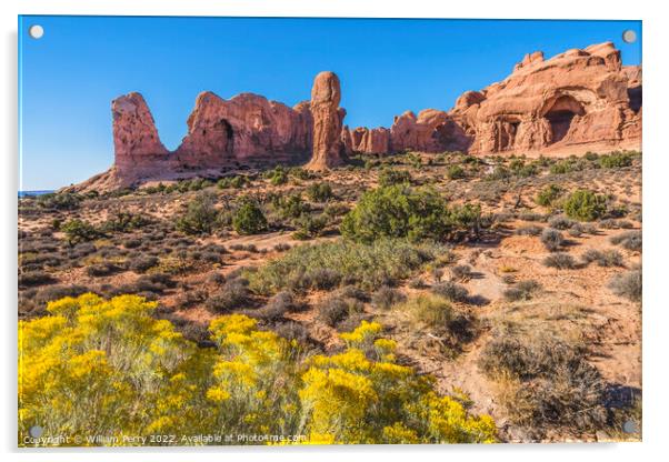 Double Arch Windows Section Arches National Park Moab Utah Acrylic by William Perry