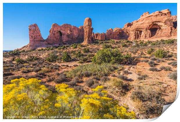 Double Arch Windows Section Arches National Park Moab Utah Print by William Perry