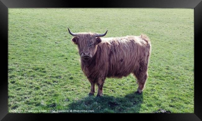 A cow standing on top of a lush green field Framed Print by Warren Dixon