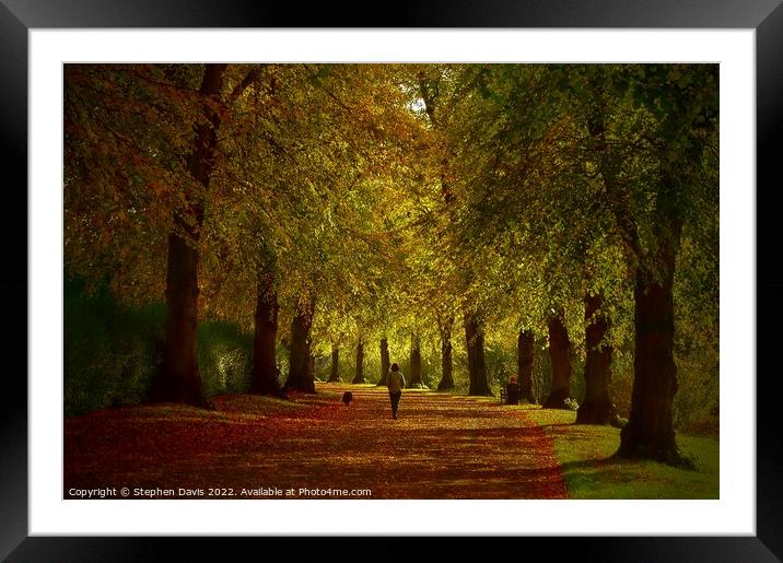 Autumn in Shrewsbury Framed Mounted Print by Stephen Davis