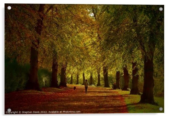 Autumn in Shrewsbury Acrylic by Stephen Davis