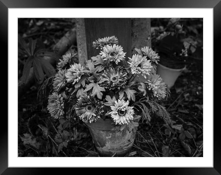 Artificial Flowers Still Life Black and White Framed Mounted Print by Dietmar Rauscher