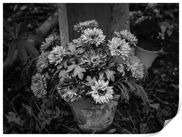 Artificial Flowers Still Life Black and White Print by Dietmar Rauscher