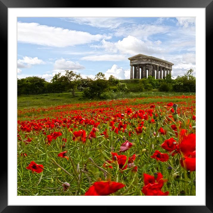 penshaw monument Framed Mounted Print by Northeast Images