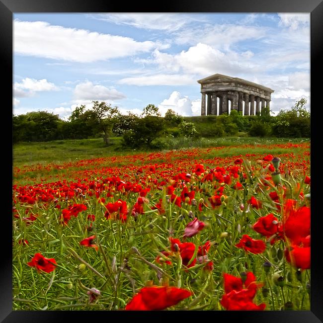 penshaw monument Framed Print by Northeast Images
