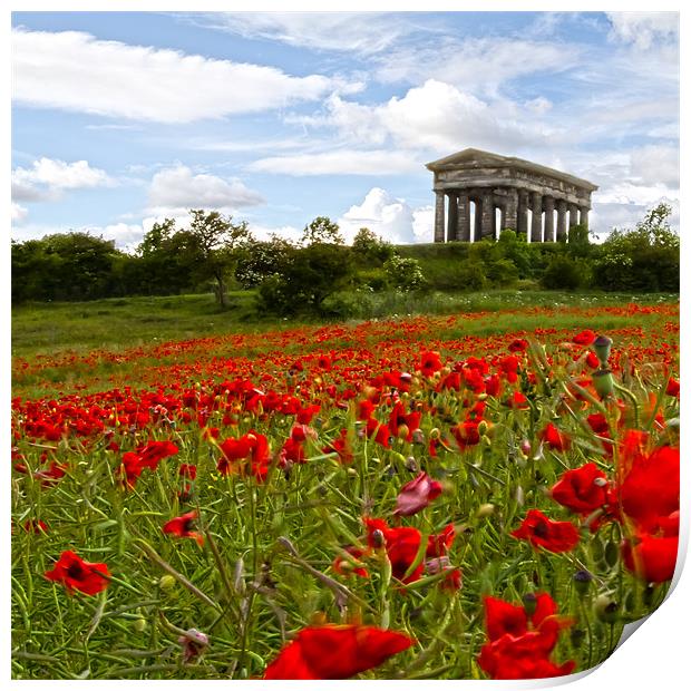 penshaw monument Print by Northeast Images