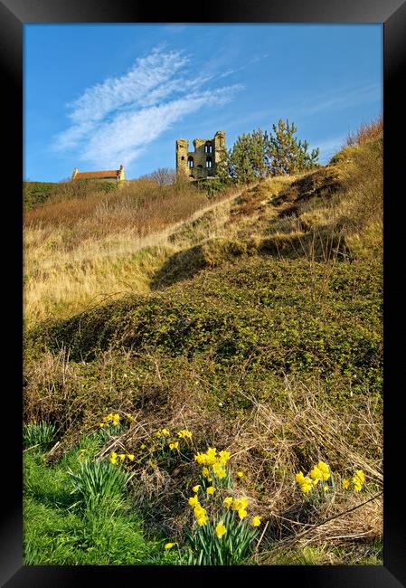 Scarborough Castle and Daffodils Framed Print by Darren Galpin