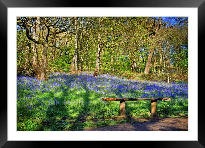 Woolley Wood Framed Mounted Print by Darren Galpin