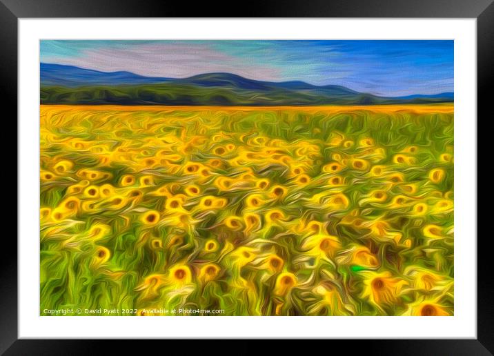 Sunflower Summer Texture Art Framed Mounted Print by David Pyatt