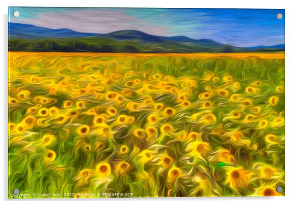 Sunflower Summer Texture Art Acrylic by David Pyatt