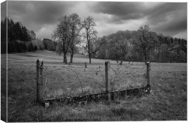 Landscape in Mostviertel with Fence and Trees in Monochrome  Canvas Print by Dietmar Rauscher