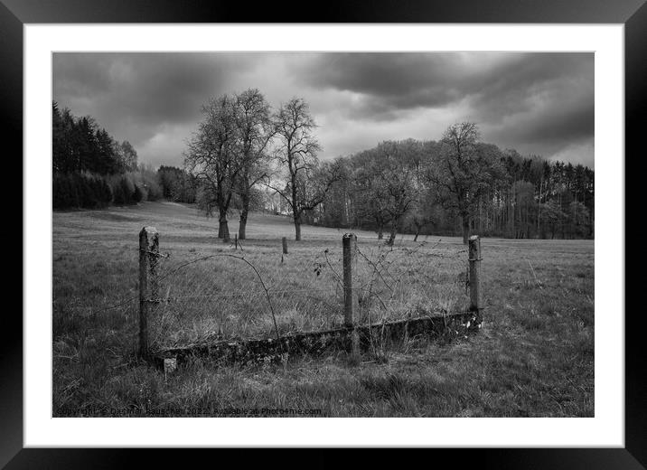 Landscape in Mostviertel with Fence and Trees in Monochrome  Framed Mounted Print by Dietmar Rauscher