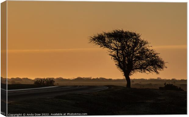 Sun rise over the New Forest Canvas Print by Andy Dow