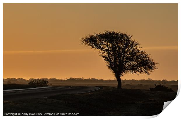 Sun rise over the New Forest Print by Andy Dow