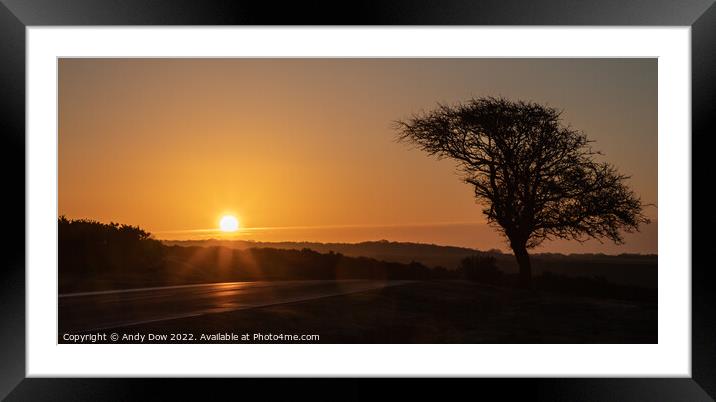 Sunrise over the forest Framed Mounted Print by Andy Dow