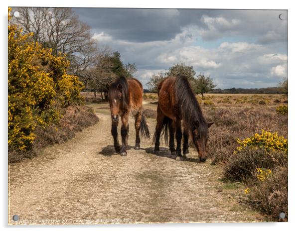 Horses in the New Forest Acrylic by Andy Dow