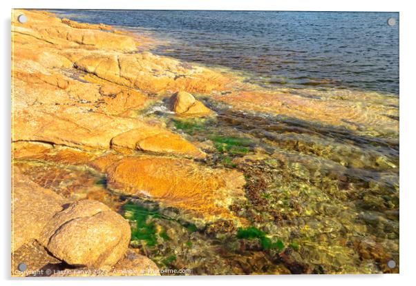 Colourful canvas of nature - Coles Bay Acrylic by Laszlo Konya