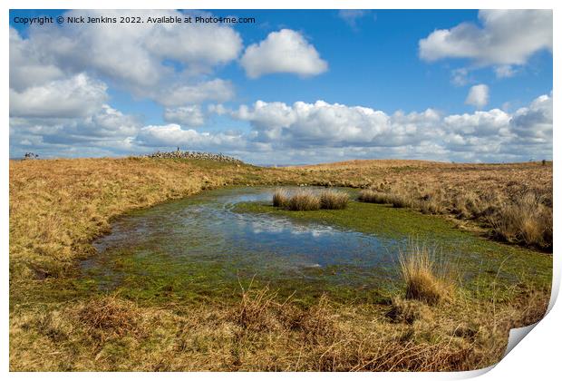 The Great Cairn and Pond Cefn Bryn Gower Print by Nick Jenkins
