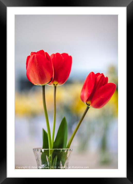 Red Tulips In A Vase At A Village Spring Fete In Oxfordshire Framed Mounted Print by Peter Greenway