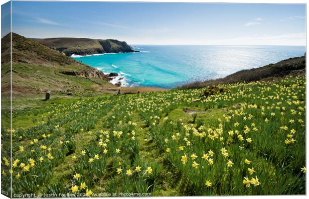 Daffodils at Nanjizal, Land's End, Cornwall Canvas Print by Justin Foulkes
