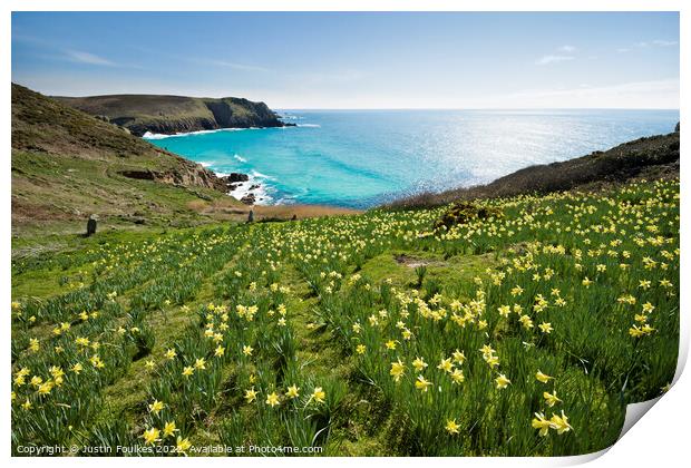 Daffodils at Nanjizal, Land's End, Cornwall Print by Justin Foulkes