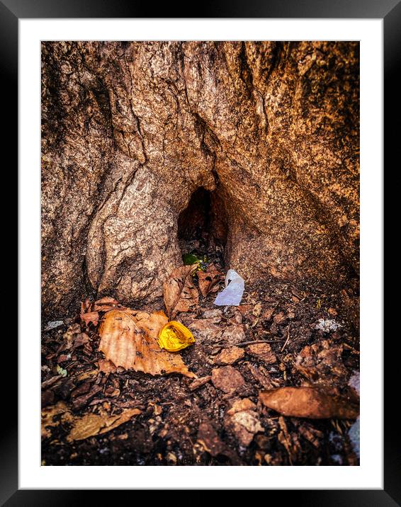 Whole in the base of a tree Framed Mounted Print by Craig Weltz