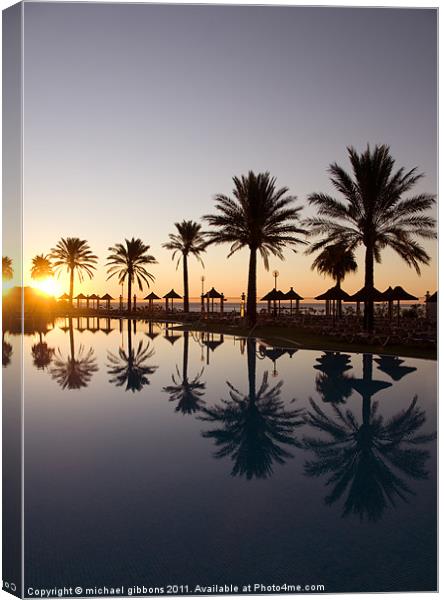 Paradise Reflection Canvas Print by mick gibbons