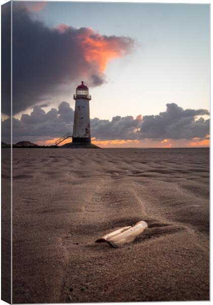 Razors Rest at Talacre Lighthouse, North Wales Canvas Print by Liam Neon