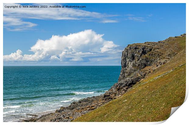 Cliff above Mewslade Bay Gower June  Print by Nick Jenkins