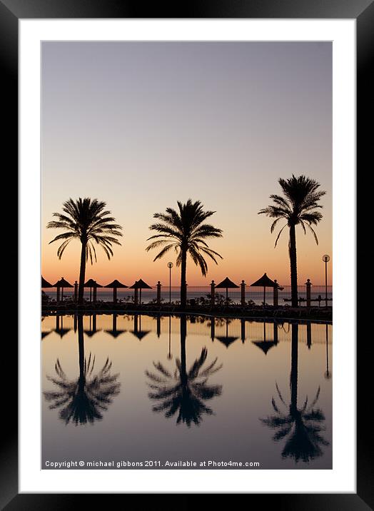 palm tree paradise Framed Mounted Print by mick gibbons