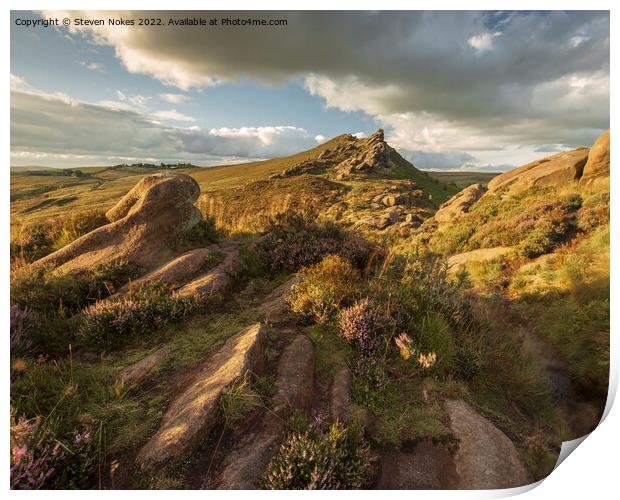 Heather Blooms at Sunset Print by Steven Nokes