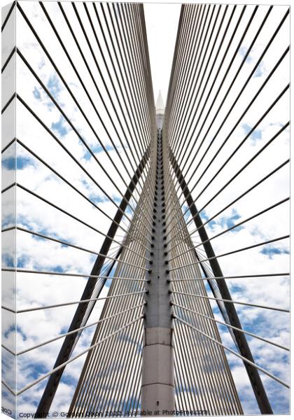 Symmetry of the Seri Wawasan suspension bridge, Putrajaya, Malaysia Canvas Print by Gordon Dixon