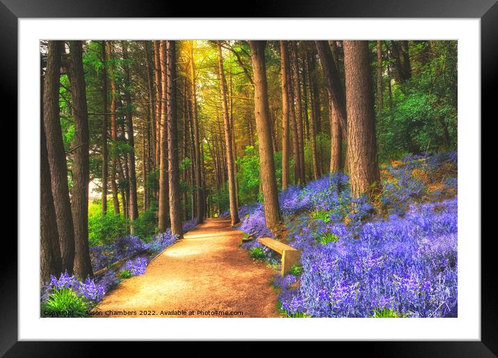 Bluebells Of The Peak Framed Mounted Print by Alison Chambers