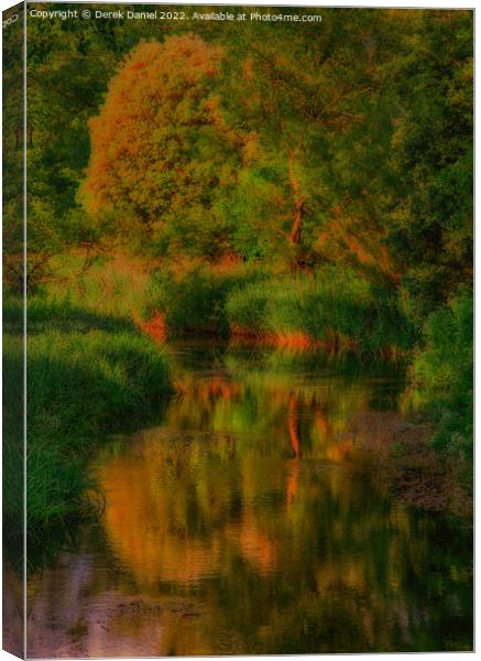 Reeds & Reflection Canvas Print by Derek Daniel