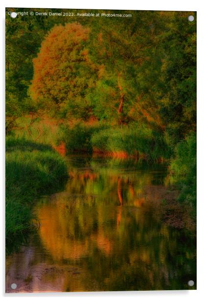 Reeds & Reflection Acrylic by Derek Daniel