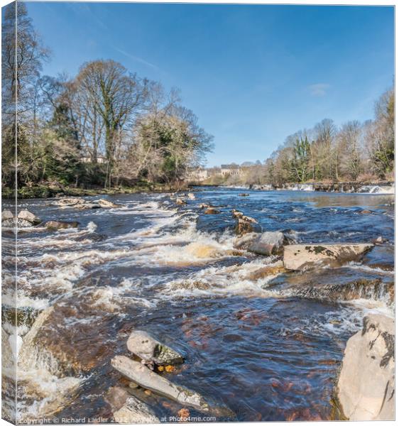Early Spring Morning on the River Tees at Barnard Castle  Canvas Print by Richard Laidler