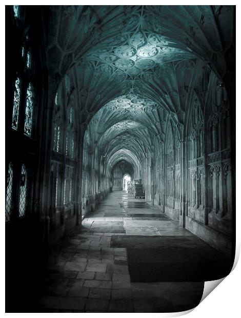 Cloistered view Print by Steve Taylor