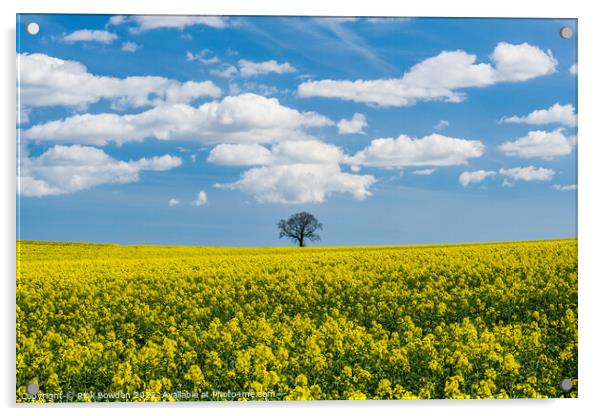 Rapeseed Tree Acrylic by Rick Bowden