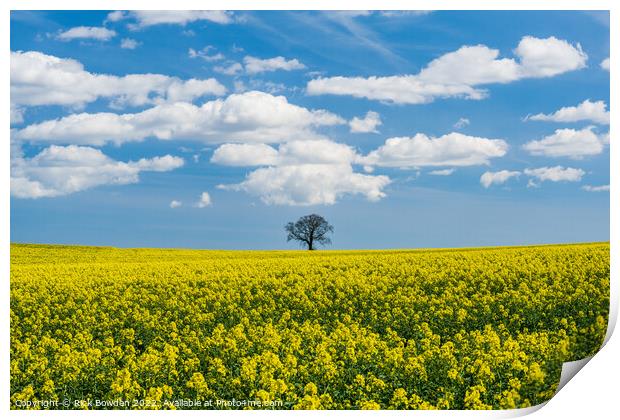 Rapeseed Tree Print by Rick Bowden