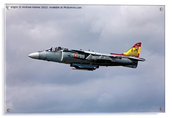 Spanish Navy McDonnell Douglas EAV-8B Harrier II  Acrylic by Andrew Harker