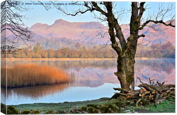 Elterwater Excellence. Canvas Print by Jason Connolly