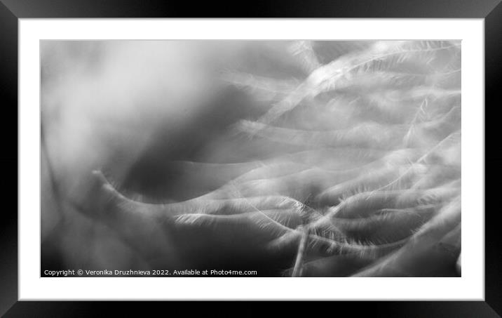 Black and white feather macro Framed Mounted Print by Veronika Druzhnieva