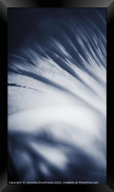 Abstract feather macro in blue Framed Print by Veronika Druzhnieva