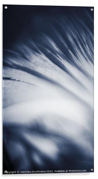 Abstract feather macro in blue Acrylic by Veronika Druzhnieva