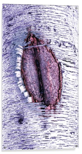 Cherry vulva  Acrylic by Steve Taylor