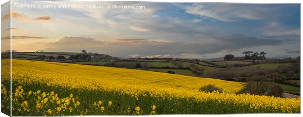  Rapeseed field, in full bloom  Canvas Print by kathy white