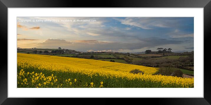  Rapeseed field, in full bloom  Framed Mounted Print by kathy white